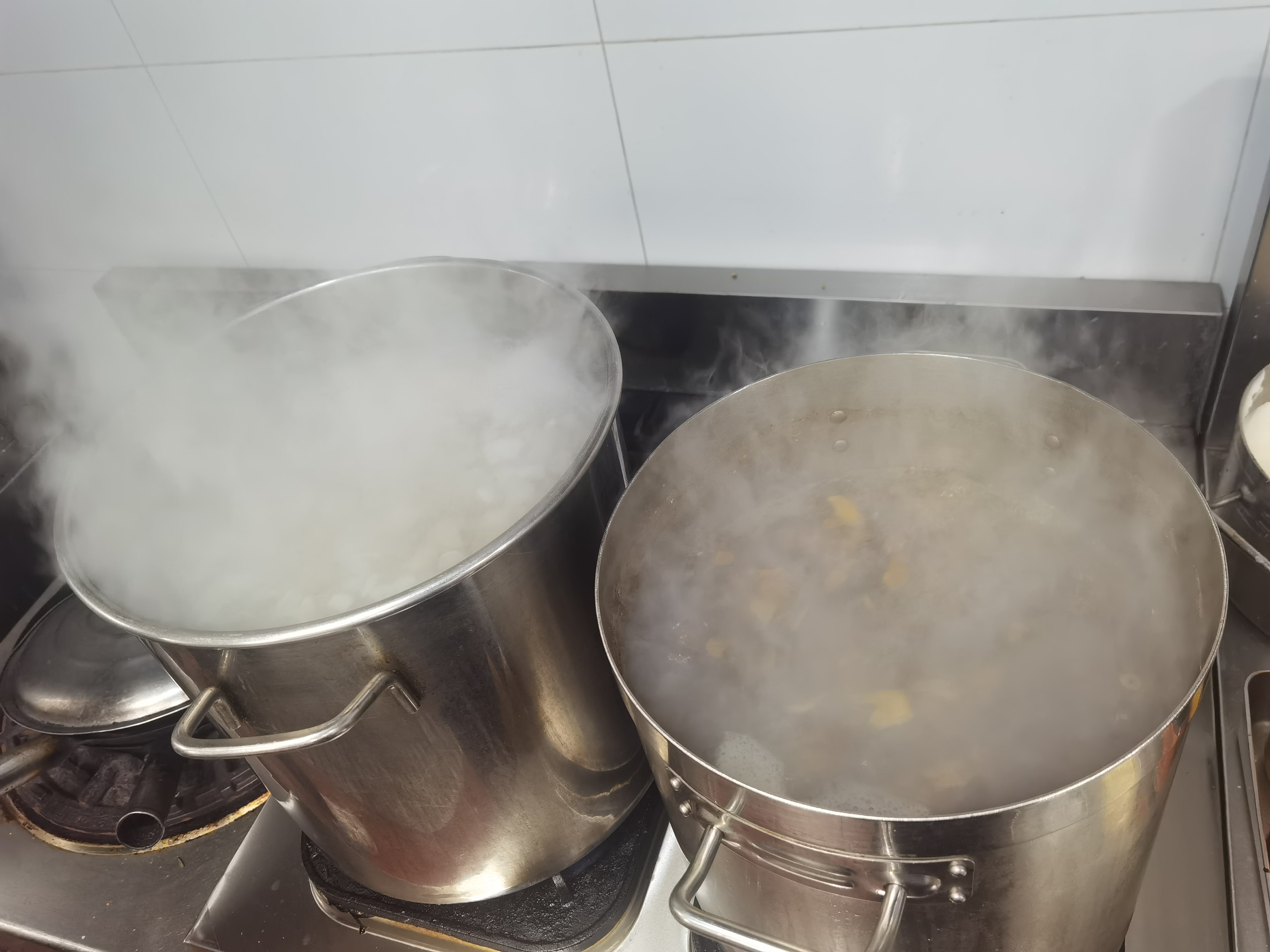 ��8ͷ�����(�й���½)-�ٷ���վ