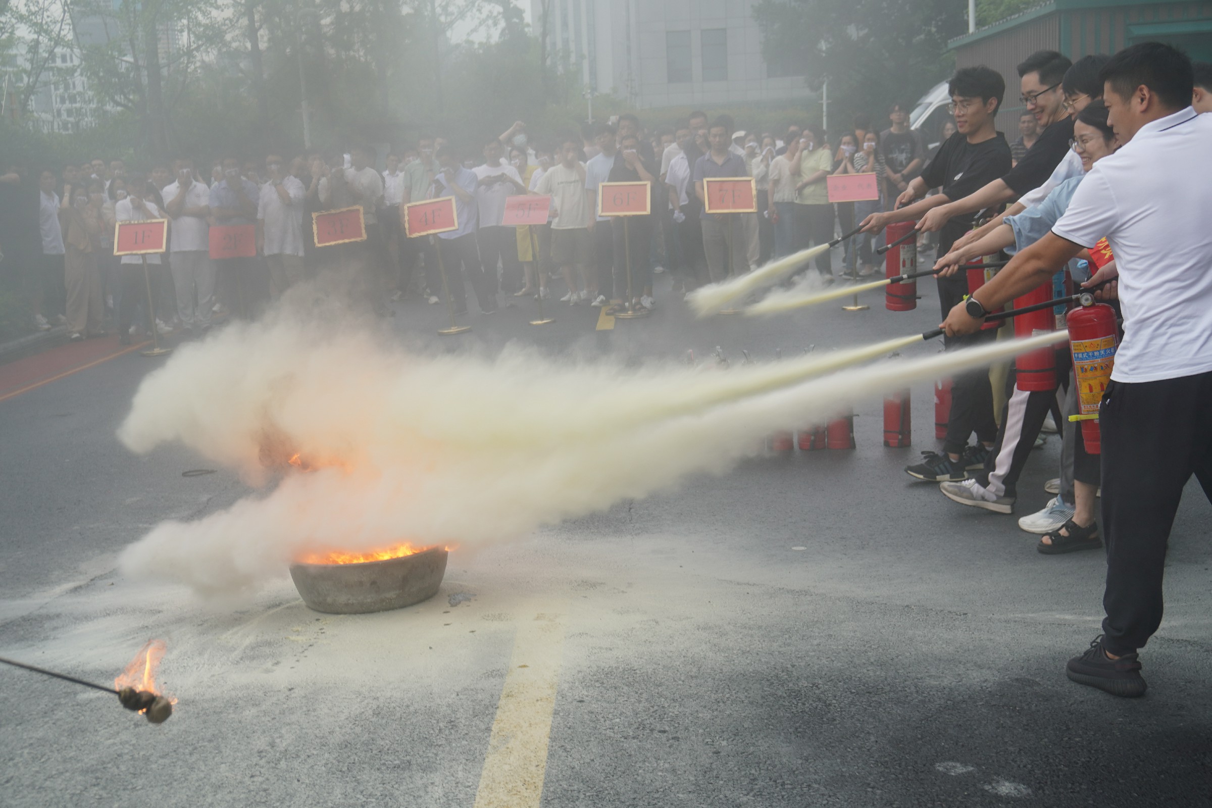 ��8ͷ�����(�й���½)-�ٷ���վ