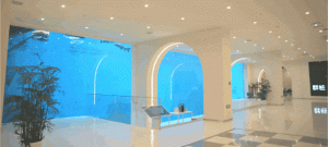 ��8ͷ�����(�й���½)-�ٷ���վ