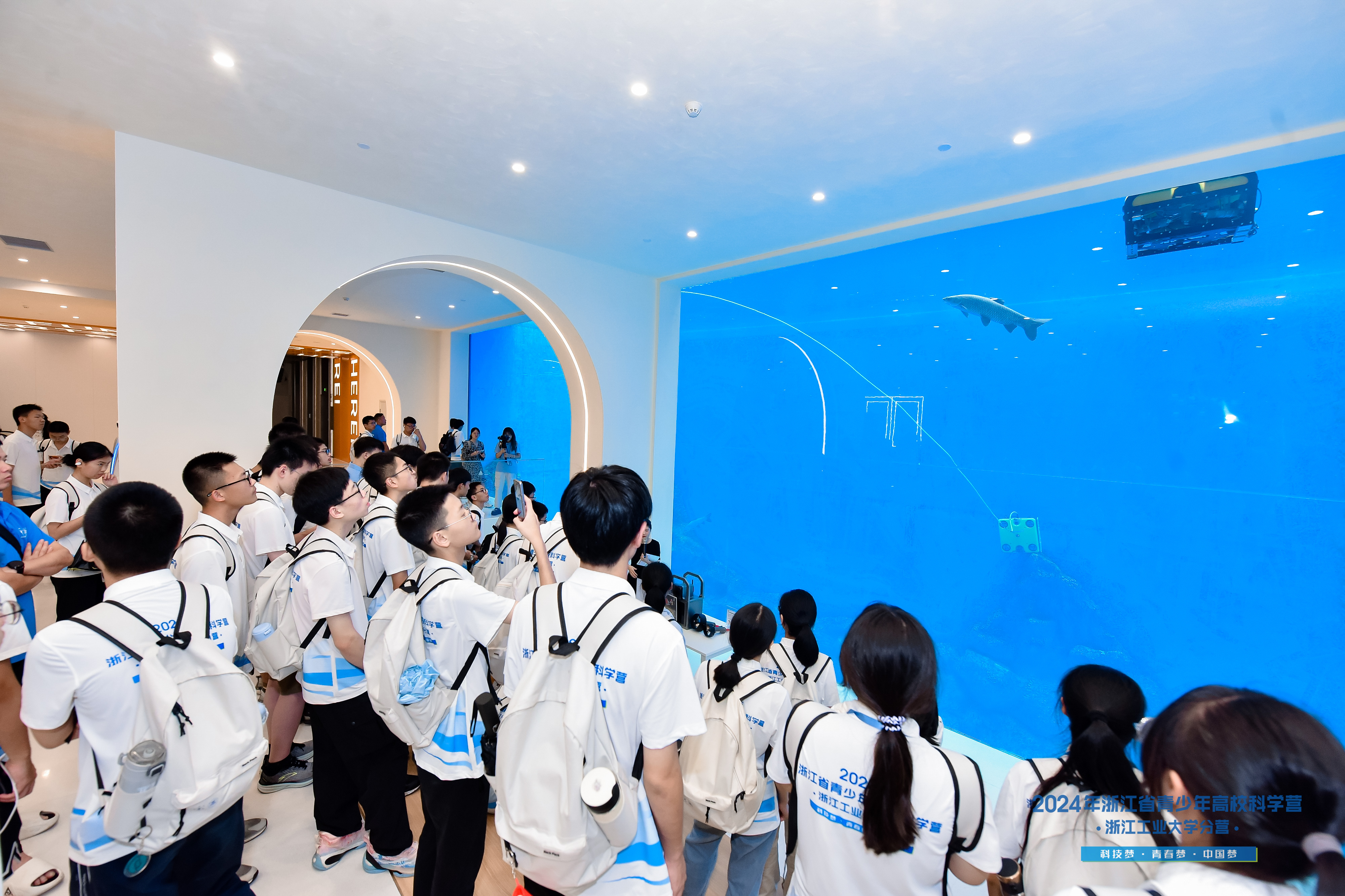 ��8ͷ�����(�й���½)-�ٷ���վ